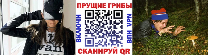 Галлюциногенные грибы прущие грибы  Елец 